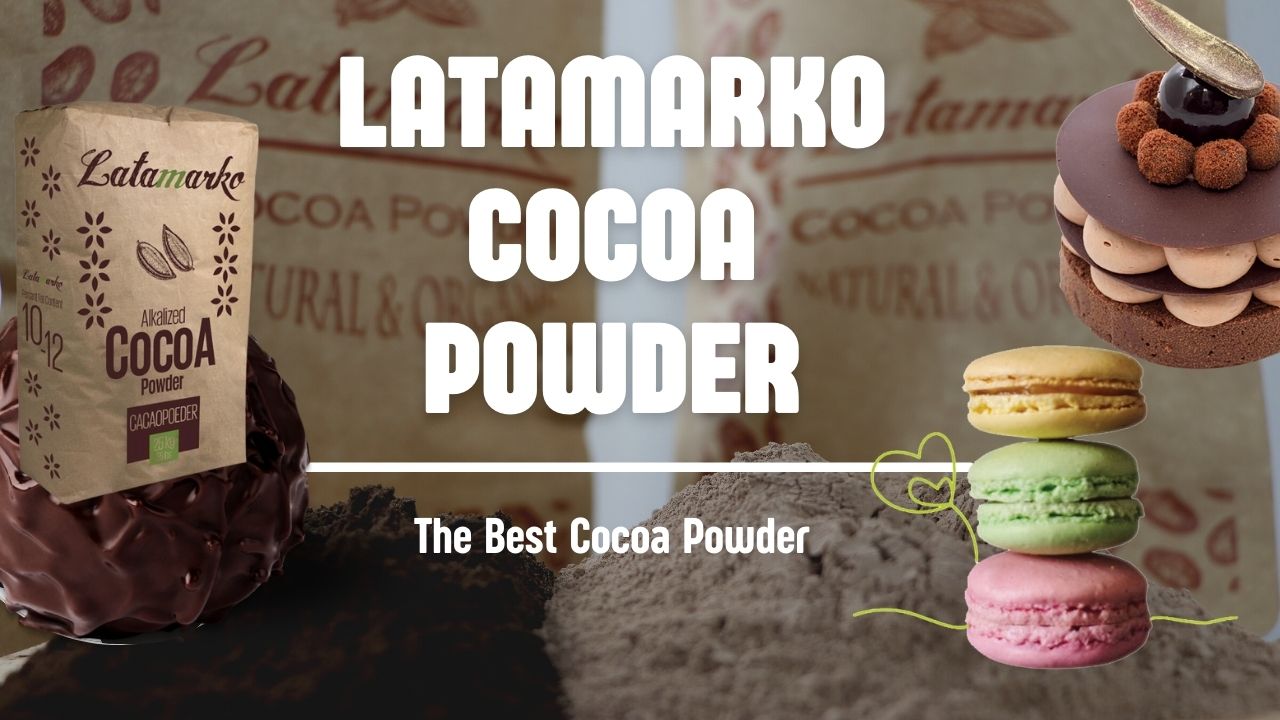 alkalized cocoa powder in Türkiye