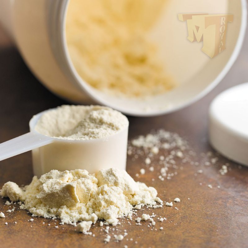 Protein Whey Powder