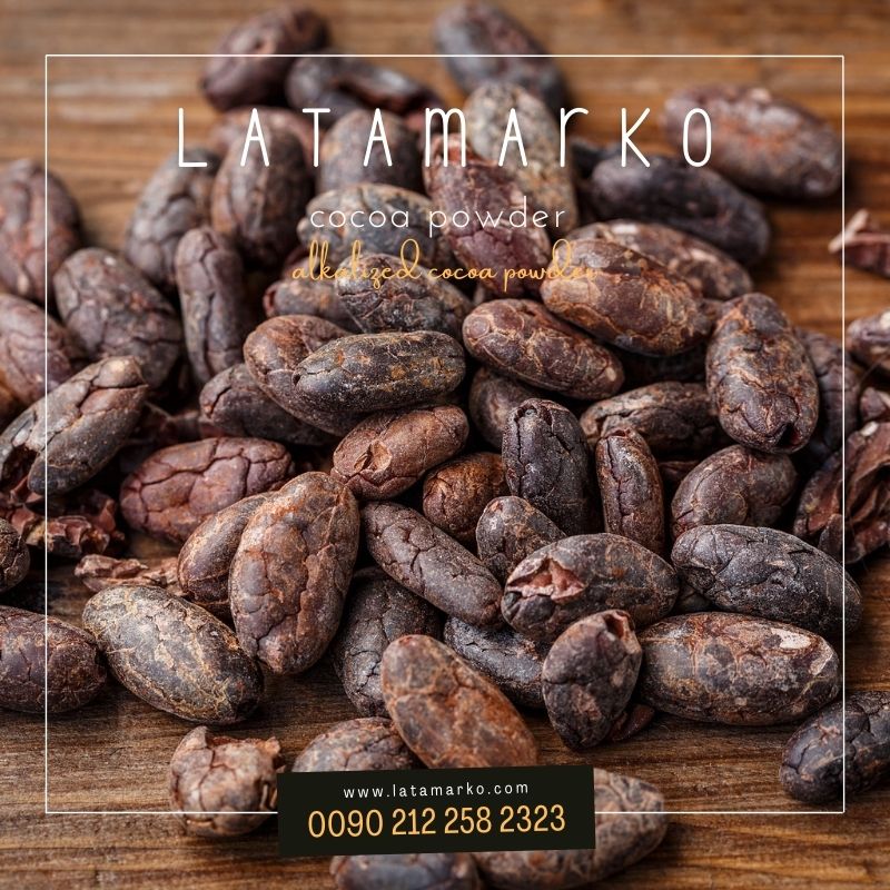 cocoa powder cocoa powder