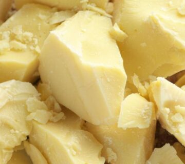 Cocoa Butter Alternative for Chocolate Making Cocoa Butter Alternative for Chocolate Making