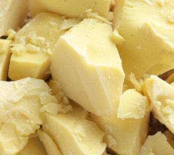 Cocoa Butter Substitute Brands