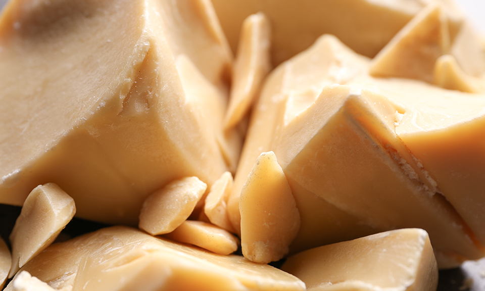 Cocoa butter factory in türkiye