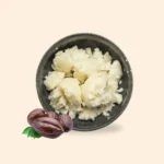 Cocoa butter substitute oil