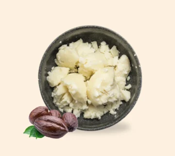 Cocoa butter substitute oil