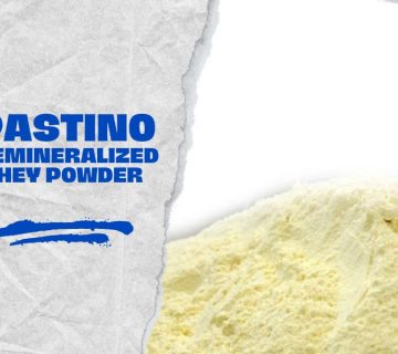 Protein Whey Powder