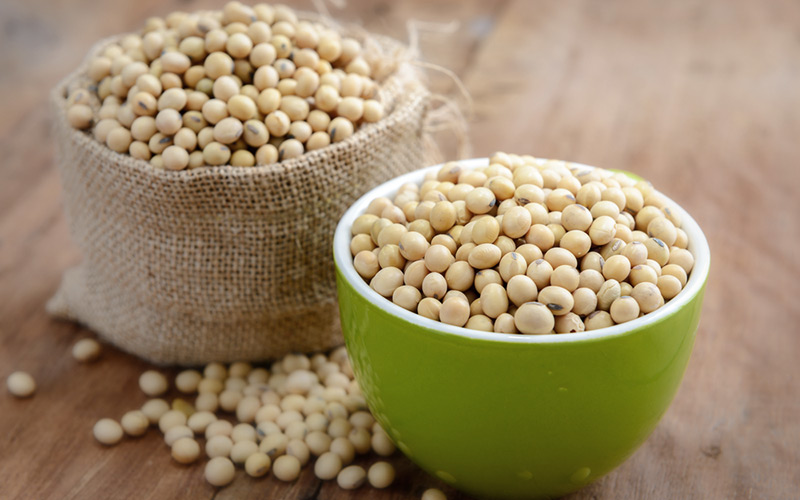 Seller of lecithin to Russia with special conditions