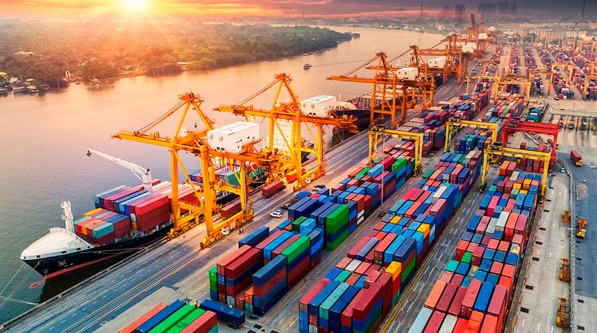 Dubai import export business