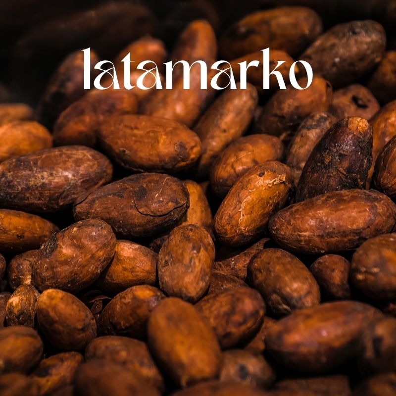 Latamarko Alkalized Cocoa Powder in Germany Latamarko Alkalized Cocoa Powder in Germany