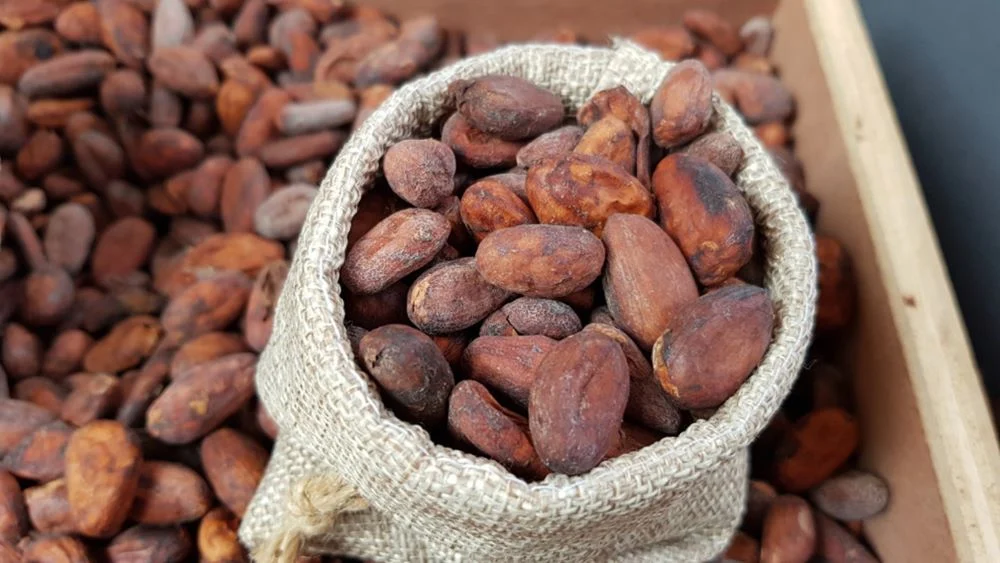 Authentic Turkish cocoa producer