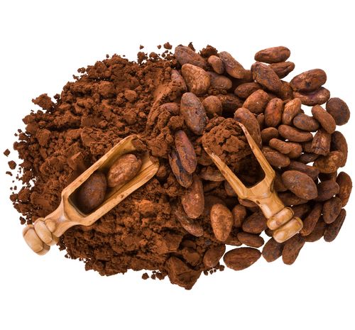 Bulk Cargill Cocoa Powder Orders from Turkey: Logistics and Shipping