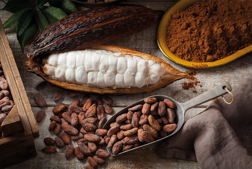 Bulk Orders for Cargill Cocoa Powder: Turkey Export Options 