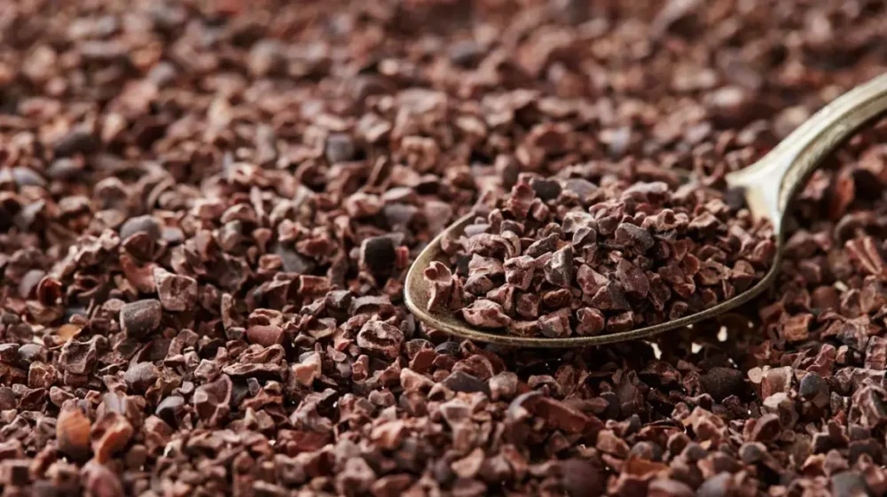 Cargill Cocoa Nibs