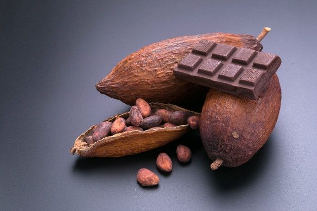 Cargill Cocoa Powder Distributors in Turkey for International Shipping 