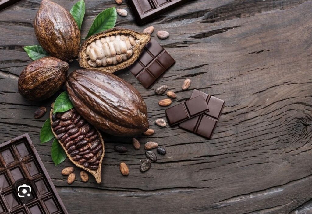 Cargill Cocoa Powder Distributors in Turkey for International Shipping 