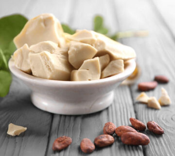 Environmentally Friendly Cocoa Butter Alternatives for Chocolatiers Environmentally Friendly Cocoa Butter Alternatives for Chocolatiers
