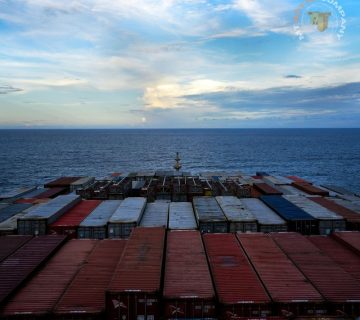 Import of Goods from Saudi Arabia