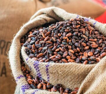 Malaysian Cocoa Industry