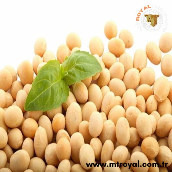 Soy Extract-Isoflavones