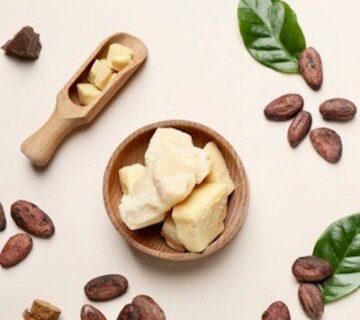 Sustainable Alternatives to Cocoa Butter for Confectionery Sustainable Alternatives to Cocoa Butter for Confectionery