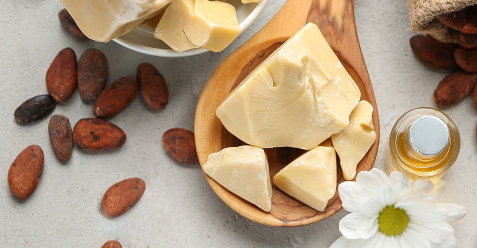 Vegetable Fat Solutions as Cocoa Butter Alternatives
