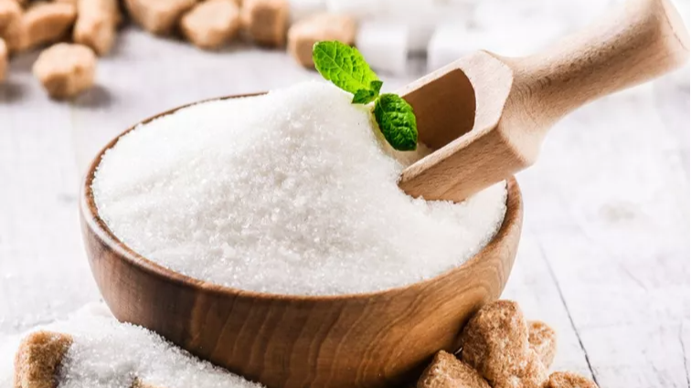 Lactose Monohydrate in türkiye