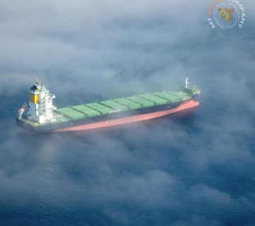 Import of Goods from India