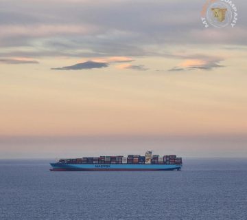 Import of Goods from Italy