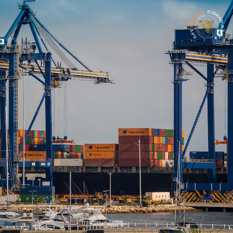 Best Lecithin Products