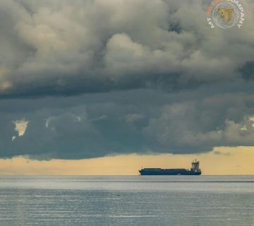 Import of Goods from Mexico