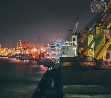 The price of lecithin in Türkiye