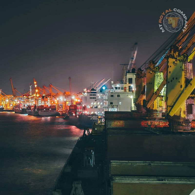 The price of lecithin in Türkiye