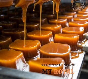 Ingredients for caramel production