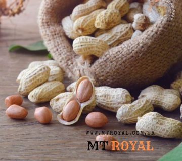 Ingredients for nut butter production