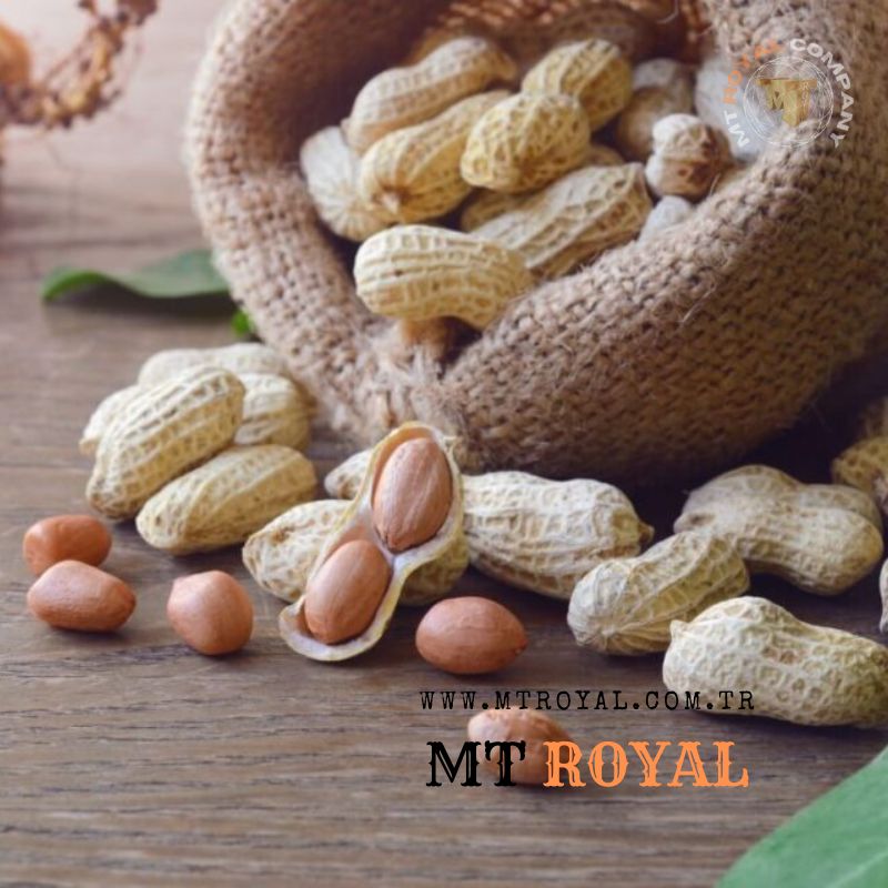 Ingredients for nut butter production