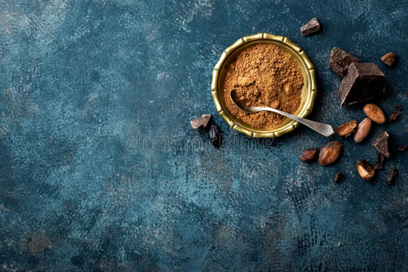 Top Cargill Cocoa Powder Suppliers in Istanbul, Turkey