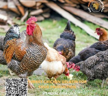 Turkey chicken gelatin for food production