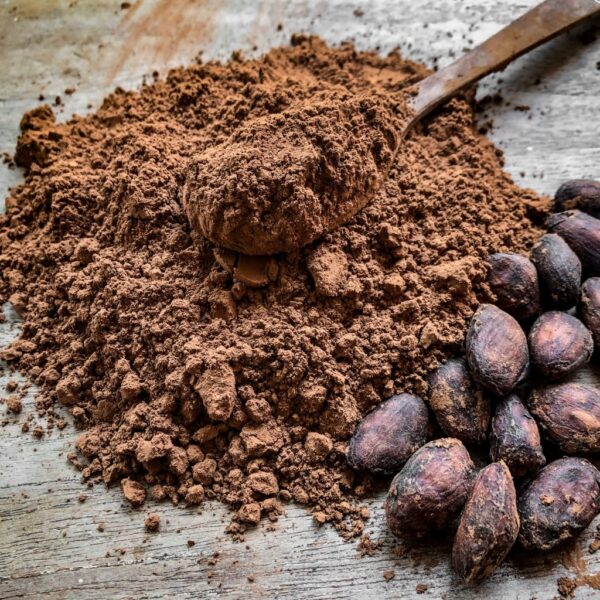 alkalized cocoa powder company