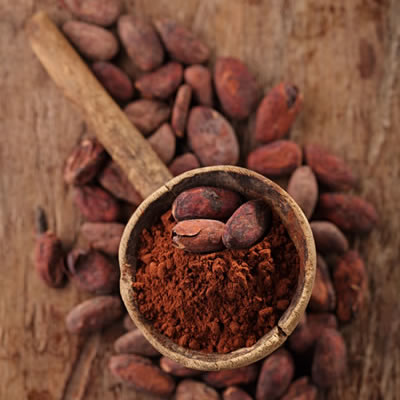 alkalized cocoa powder hs code