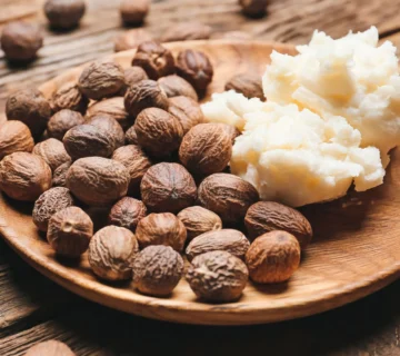 cocoa butter substitute for chocolate