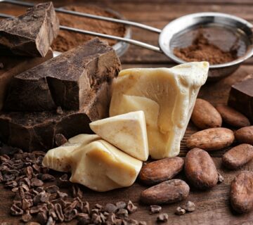 kegunaan cocoa butter substitute