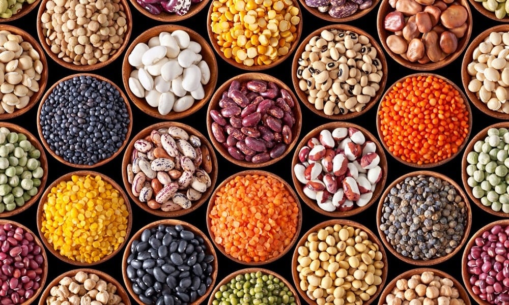food import-export Turkey