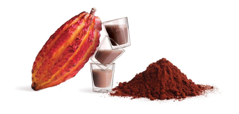 Bensdorp Cocoa for Beverages