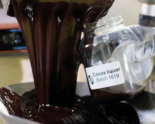 Bensdorp Organic Cocoa Liquor