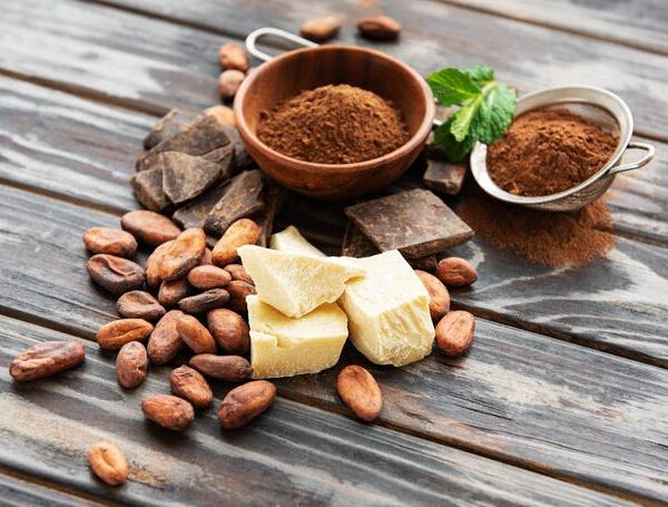 Cargill Organic Cocoa Products