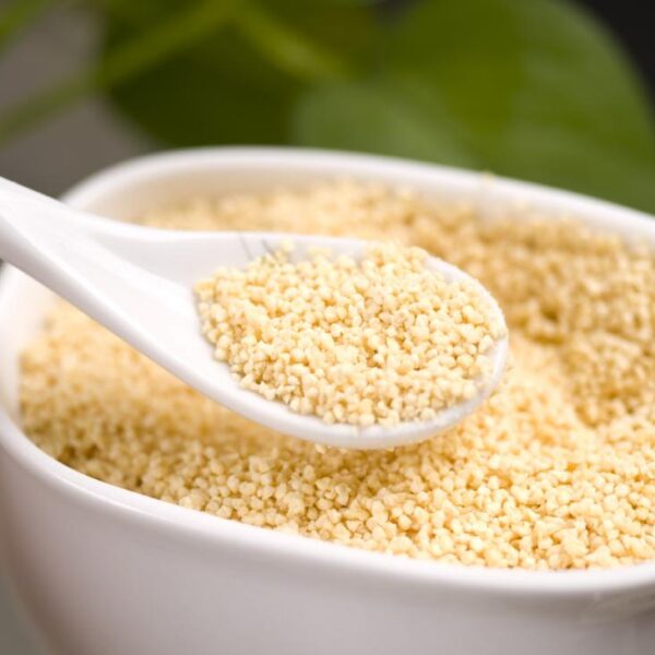 Granulated Lecithin