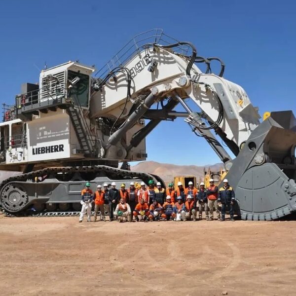 Liebherr Excavator Model R 996 B for Sale