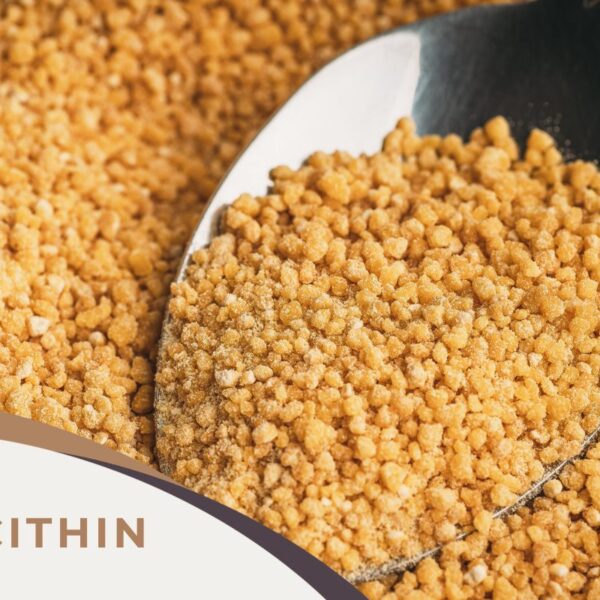 Phosphatidylserine (PS)-Rich Lecithin