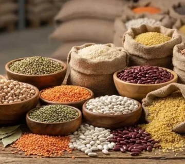 food import-export Turkey
