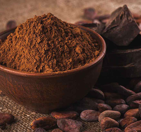 Alkalized Cocoa Powder Supplier
