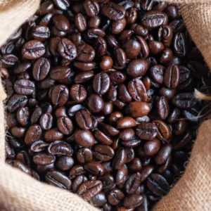 Arabica Coffee Beans Supplier